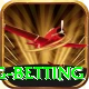 turkey super lig betting Turbo Pro v4.0.8