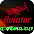 u19 cricket world cup App