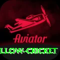 willow cricket Pro