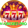 willow cricket APK Royal v4.4.6