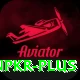 winpkr Plus Edition vv5.5.4