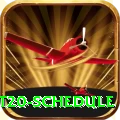 world cup t20 schedule Pro Edition v3.9.2