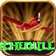 world cup t20 schedule Pro Edition v3.9.2